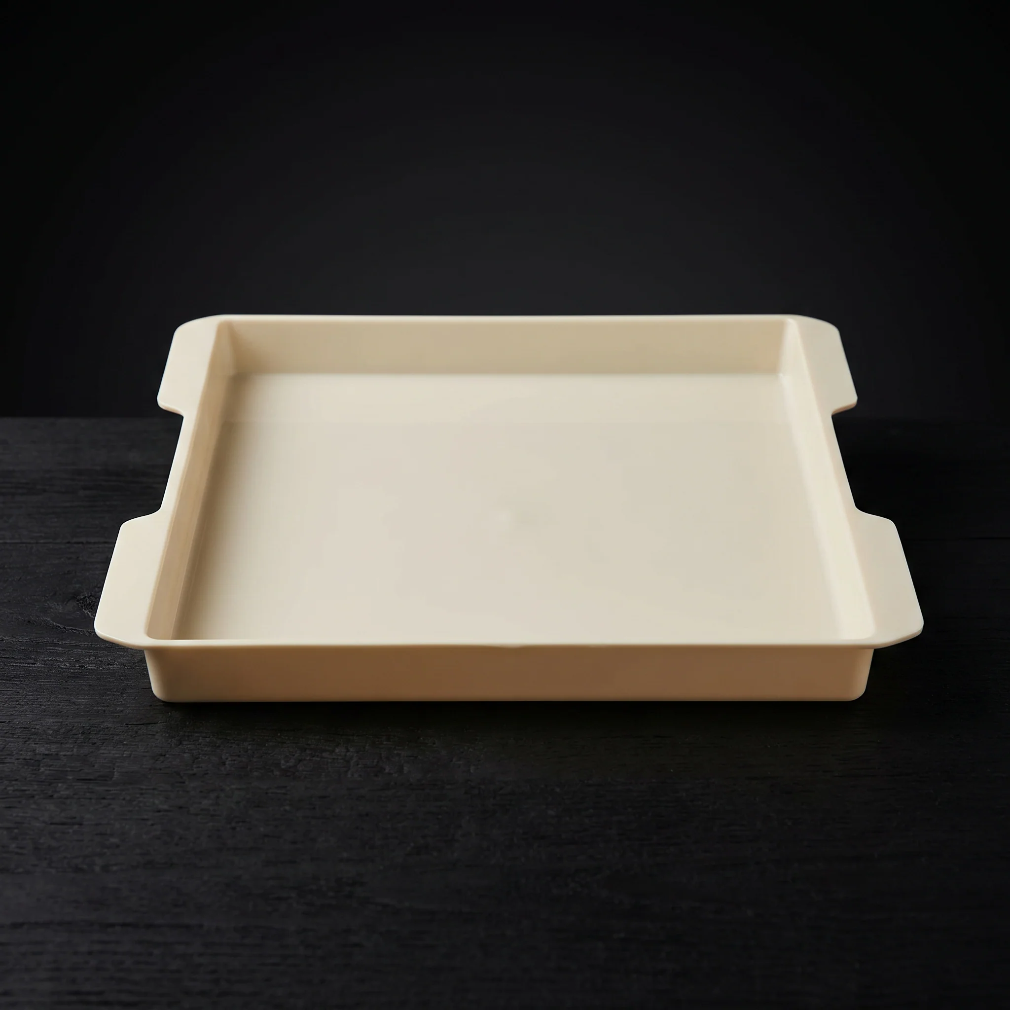 Eslen, Sushi Rice Container Tray Insert, 20L